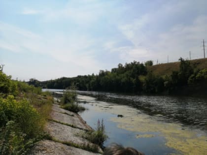 15 лет ждали, ждали и вот опять: в Сызрани не будут чистить реку, как обещали