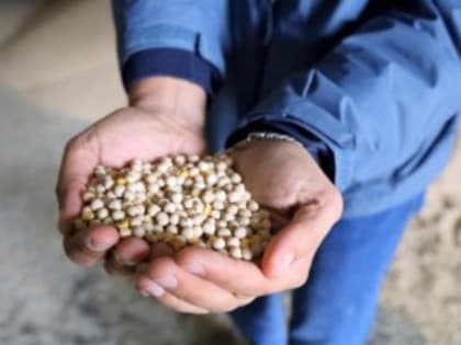 «Большечерниговский комбикормовый завод» оптимизировал процесс переработки и хранения продукции