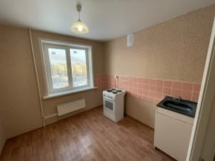 Проведение торгов