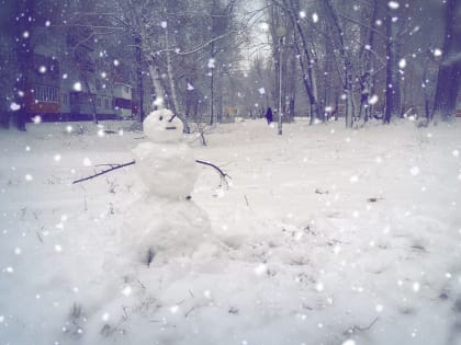 Теплый декабрьский дождь. Чем еще порадует тольяттинцев погода в выходные?