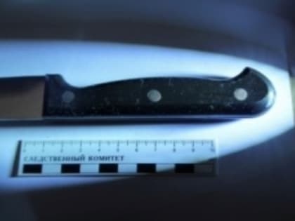 В Сызрани заключена под стражу женщина, подозреваемая в убийстве сожителя