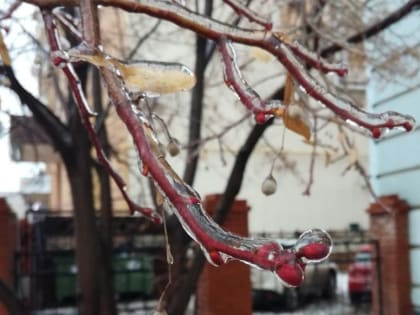 В Самарской области 20 декабря ожидают мокрый снег и дождь