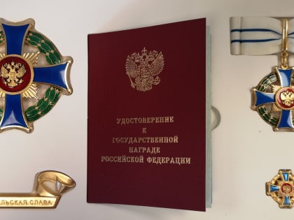 Орден   «Родительская слава»   и медаль ордена «Родительская слава»