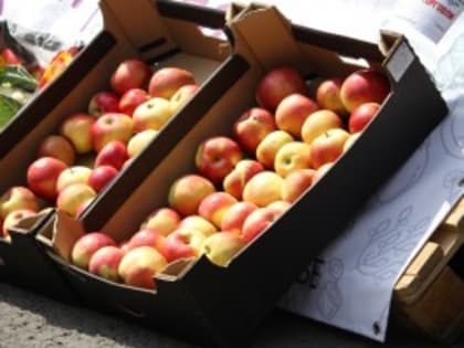 Любимые самарцами продукты осени: какао, корица и сезонные яблоки