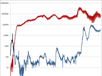 Информационный бюллетень о ситуации и принимаемых мерах по недопущению распространения заболеваний, вызванных новым коронавирусом