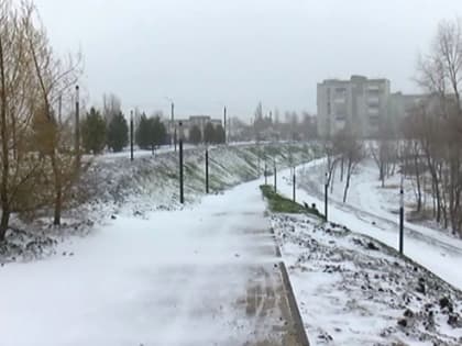 Растущая трава, автополив и выживут ли деревья: как обстоят дела на новой набережной Сызрани