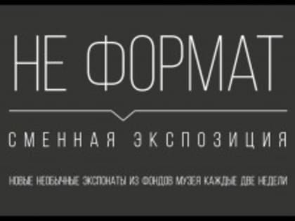 “Не формат”: в Музее имени Алабина пройдут необычные мини-выставки
