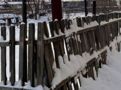 У тёлочек хламидии: в 120 км от Самары обнаружен очаг страшной болезни