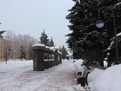 Информационное сообщение   о начале приема ходатайств на присвоение звания  «Почетный гражданин городского округа Тольятти»