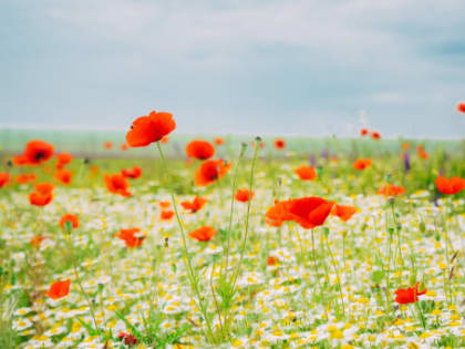 Народные приметы на Бабий день: что нужно сделать мужу с женой и самый короткий путь к беременности