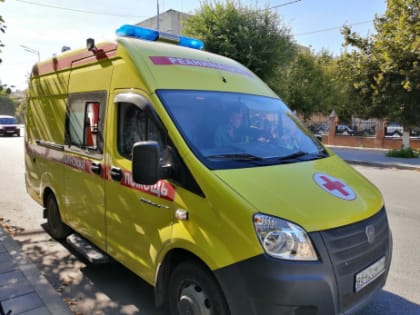 Власти готовятся к созданию буферных зон с тотальным контролем от эпидемии африканской чумы