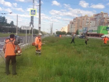 В Тольятти полным ходом идет покос травы