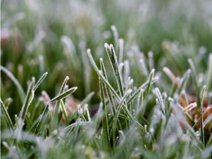 Экстренное сообщение МЧС: сегодня ночью ударят первые морозы