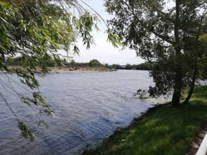 В Сызрани занялись живописными берегами, чтобы они не достались барыгам