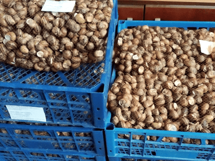 Соцконтракт помог начать развивать экзотическое направление бизнеса