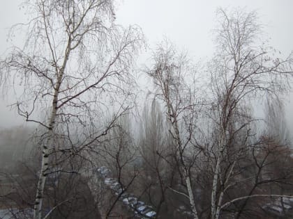 Жёлтый уровень опасности из-за тумана объявлен в Самарской области
