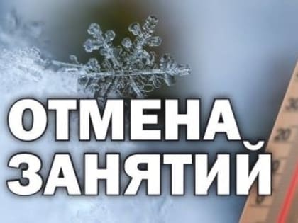 Минобр Самарской области проинформировал о проведении занятий в морозы