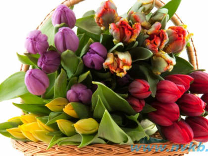 С Международным женским днем!