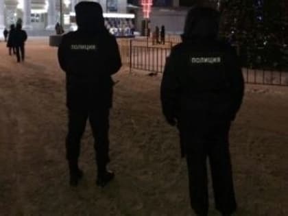 Полицейские Самарской области не допустили нарушения порядка в новогоднюю ночь