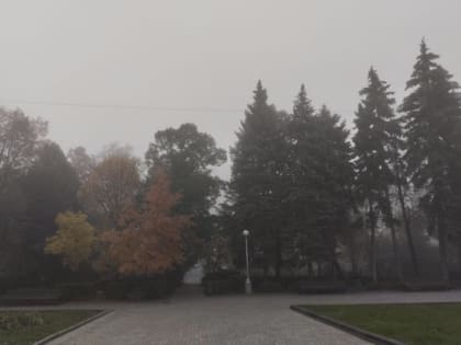 На предстоящей неделе в Самарской области синоптики обещают "снежную кашу"