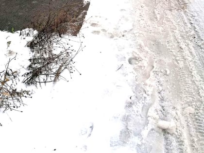 ОСАДКИ УСИЛИВАЮТСЯ: ВПЕРЕДИ СНЕГОПАДЫ И ДОЖДИ