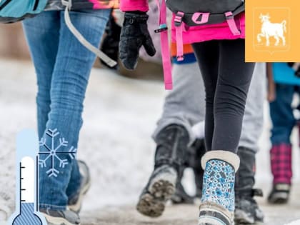 При какой температуре могут отменить занятия в школе