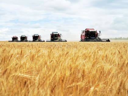 2022 год войдет в историю самарского АПК как один из самых урожайных