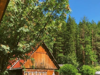 В Самарскую область возвращается лето: синоптики обрадовали местных жителей