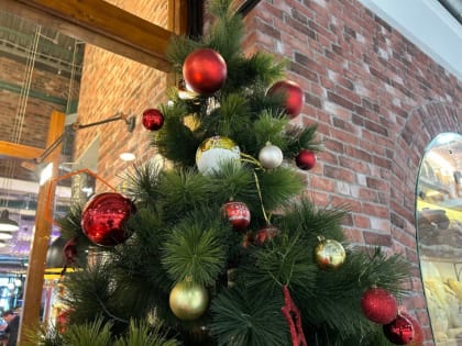 В Самарской области стартовала акция «Ёлка желаний»