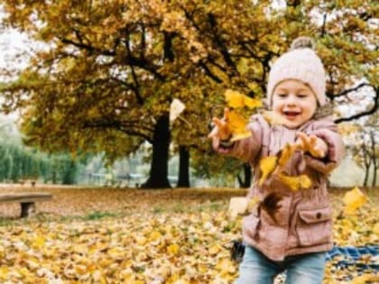 В Москве зафиксировали бабье лето в ноябре, но очень короткое