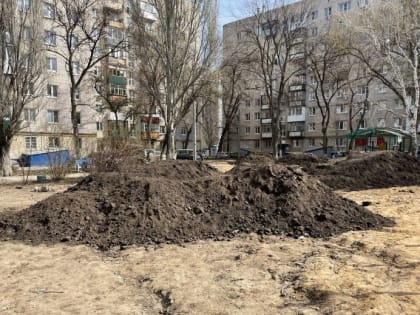 Мусор уберут, землю завезут, деревья посадят