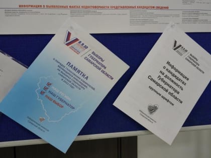 В Самарской области стартовал заключительный день голосования на выборах губернатора и депутатов