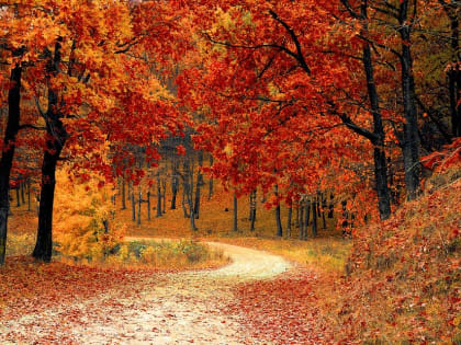 Россиянам рассказали о подготовке организма к холодам