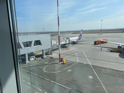 В Тбилиси, Минск, Ташкент: в самарском аэропорту «Курумоч» появились новые регулярные рейсы