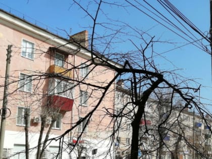 Жителей Сызрани замучил сушняк