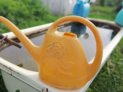 Жажда, проблемы с почками, озноб: жителям Самарской области угрожает смертельно опасная инфекция