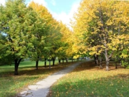 Мониторинг качества атмосферного воздуха