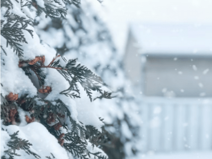Дождь, снег и ураганный ветер: Самарскую область ждет погодный апокалипсис