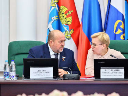 Думский день