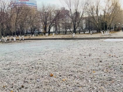 В Самарской области ночью 6 и 7 сентября ударят морозы