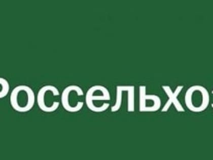 Виктор Кудряшов провел рабочую встречу с Первым заместителем  Председателя Правления Россельхозбанка Кириллом Лёвиным
