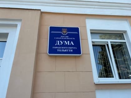 Тольяттинские депутаты направили в область предложение о создании приютов для животных