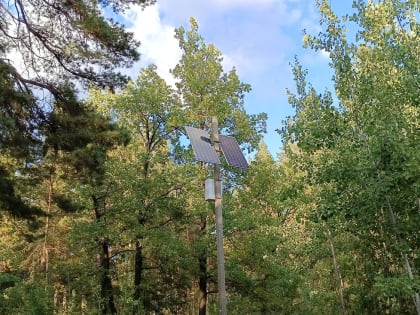 Камеры, патрули, беспилотник: Власти рассказали, как будут охранять лес Тольятти