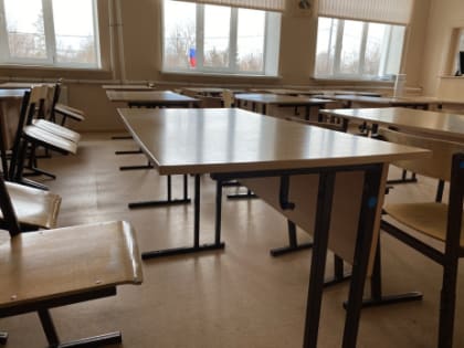 В Сызрани выделили 423 тысячи рублей на изгнание крыс из городских школ