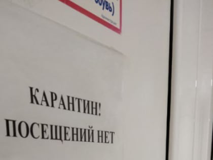 В Тольятти объявлен карантин