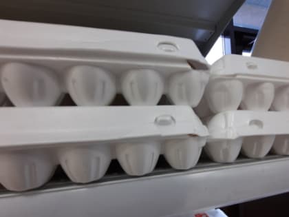 Бум продолжается: в Госдуме цены на яйца намерены снизить за счет новогодних елок