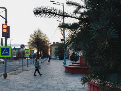 Когда мобилизованных вернут с СВО, четырехдневная рабочая неделя и что за новая зараза пришла в Россию: важное к этому часу