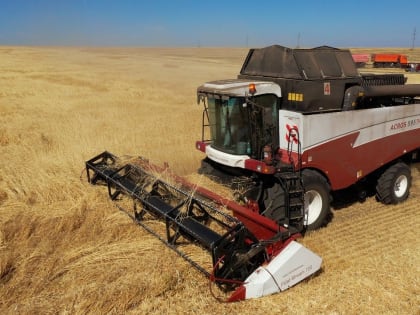 «Железный конь пришёл на смену крестьянской лошадке». Современная техника помогла самарским аграриям собрать рекордный урожай