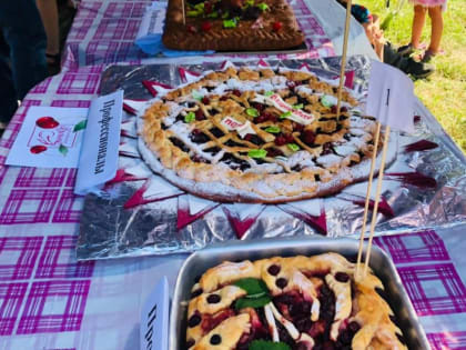 Ширяево встретило гостей фестиваля "Жигулевская вишня"