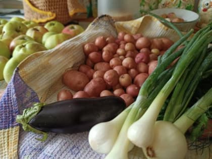 Эндокринолог назвал продукты для работоспособности мозга